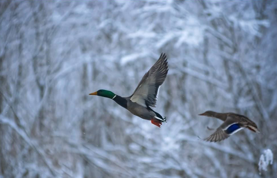 Momentum Gnesta – celebration of humanity